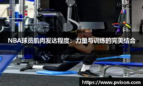 NBA球员肌肉发达程度：力量与训练的完美结合