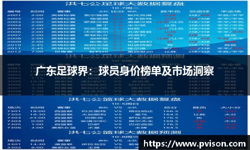 广东足球界：球员身价榜单及市场洞察