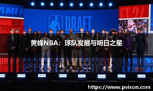 黄蜂NBA：球队发展与明日之星